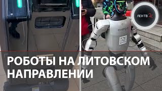 картинка: Языковой конфликт в Литве | «Иду в этом направлении» | Робот потребовал дать дорогу на русском