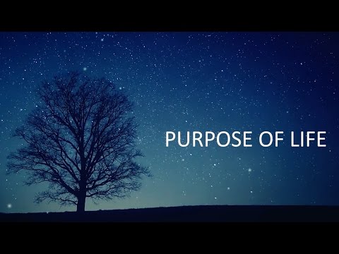 Rvage - Purpose Of Life