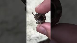 Bug findings 1 part 1