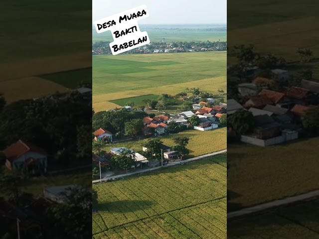 kampung tengah sawah #drone #dronedji #sawah #tengahsawah #kampunghalaman class=