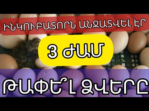 Video: Դեկորատիվ թափում