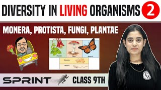 Diversity in Living Organisms 02 | Monera, Protista, Fungi, Plantae | Class 9 | NCERT | Sprint