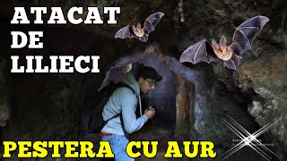 Sunt ATACAT DE LILIECI în timp ce caut AUR într-o PEȘTERĂ ABANDONATĂ DIN MUNȚI