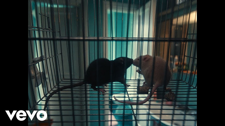 Olly, Angelina Mango, Juli - Per due come noi (Visual Video)
