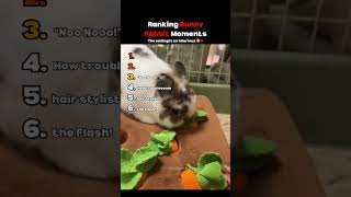 Ranking Bunny Rabbit Moments