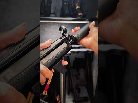HuxWrx Flow 9k Ti #mp5 #suppressed #shorts #summershoots #silentsummershoots