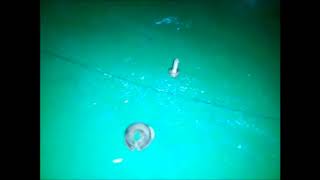 Mengetahui Stabilizer Link Bush Bahagian Belakang Rosak Cara Tukar Stabilizer Link Bush Belakang Youtube