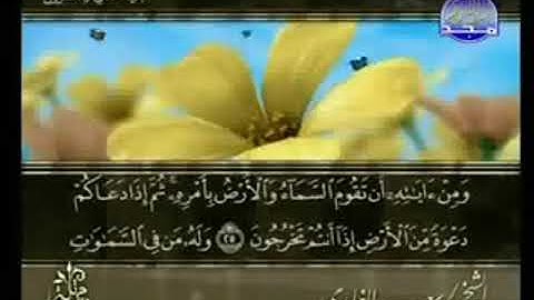 سورة الروم من الآية 25 الى الآية  41