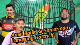 Lovebird Amel Balik Ke Samarinda, Langsung Hattrick di Arema Cup 2