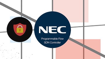 Programmable Flow SDN Controller