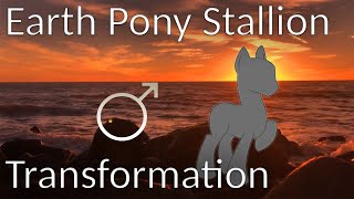 Earth Pony Stallion Hypnosis (with Genital Transformation and Imposition)