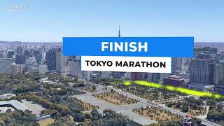 Tokyo marathon 2024 - Course Map 3D - 4K - Best Marathon in the world