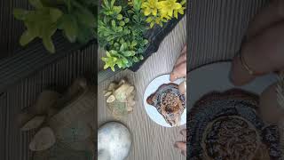 Balik 🐟 Burcu 20 Şubat Fincanın Dibindeki Gölge: İhanetin Harfi , İntikamın Sayısı