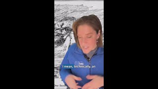 A UFO in Sacramento | A Look Back in History