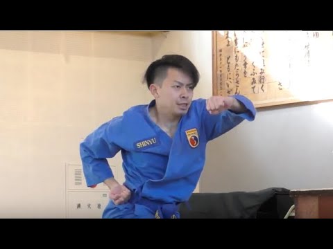 ベトナム総合武術 ボビナム PART-42 VOVINAM