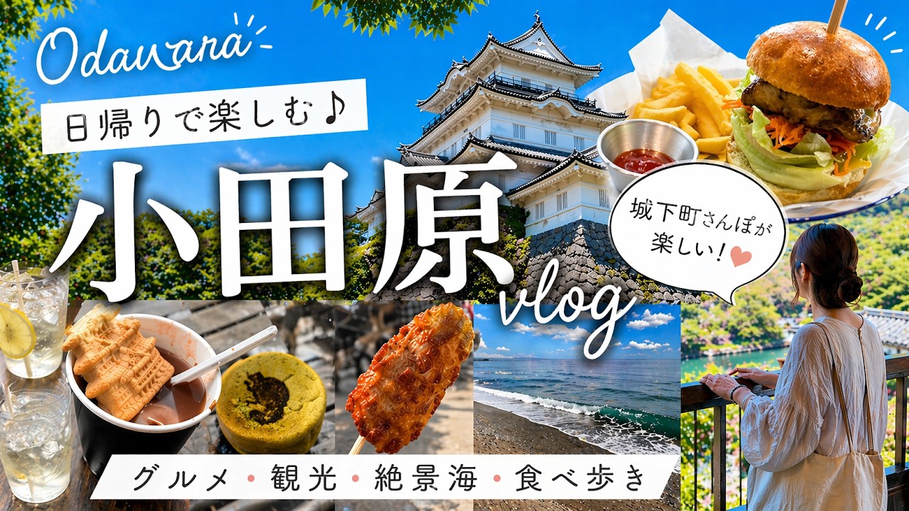 【小田原ひとり散歩Vlog🏯】歴史と海と地元グルメ、全部味わった満足日帰り旅