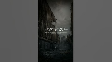 {يَا أَيُّهَا النَّاسُ اتَّقُوا رَبَّكُمْ ۚ } تلاوة تريح القلب والعقل 💜🎧 #explore #reels #قرآن