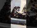 Creamiest Coffee Jelly