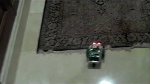 Boe-Bot with whiskers