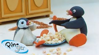 Pingu Loves Food  | Pingu  Official Channel | Cartoons For Kids