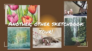 Sketchbook vol. 25 Flip Through and answer on how to make Stillman and Birn sketchbooks lay flat.