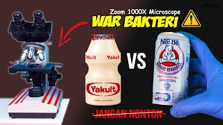 BAKTERI YAKULT vs SUSU BERUANG | Bear Brand Milk vs Yakult Microscope Zoom 1000X