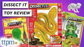 What Will You Discover When You Dissect-It?