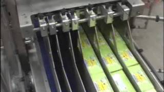 Fibre King WAP25 Case Packer Packing Cartons