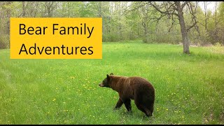 Trail Cam Videos Minnesota