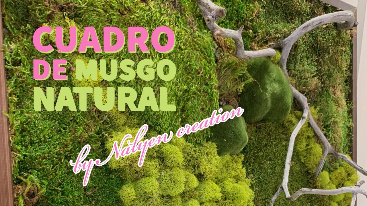 Cómo hacer un cuadro de musgo natural 