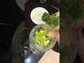 Recaito #easy #cooking#recaito #recipe #puertoricanfood #shorts#foodie #food #glorialikestocook
