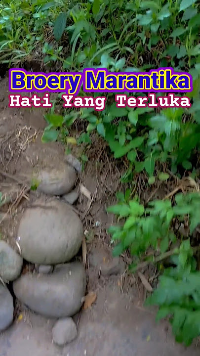 Hati Yang Terluka . Broery Marantika #nostalgia #iloveindonesia #tembangkenanganterbaik #bumiayufyp