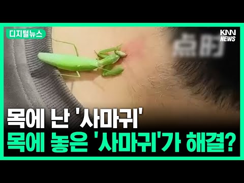 &amp;quot; #<strong>디지털뉴스</strong>