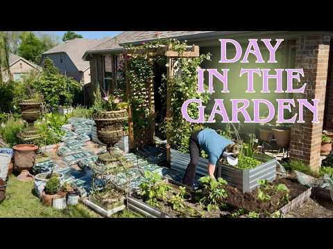 ☀️ A Peaceful Day in the Garden 🌿 Mulching, Planting Peppers, Roses & Lifting Ranunculus