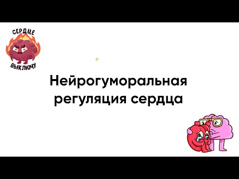 Нейрогуморальная регуляция сердца