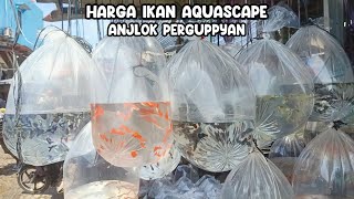 PRICES OF PERGUPPYAN AQUASCAPE FISH PLUMBLE!