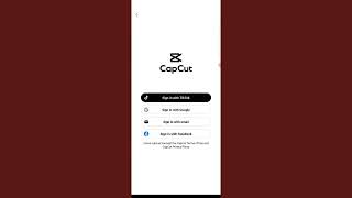 overview of Capcut