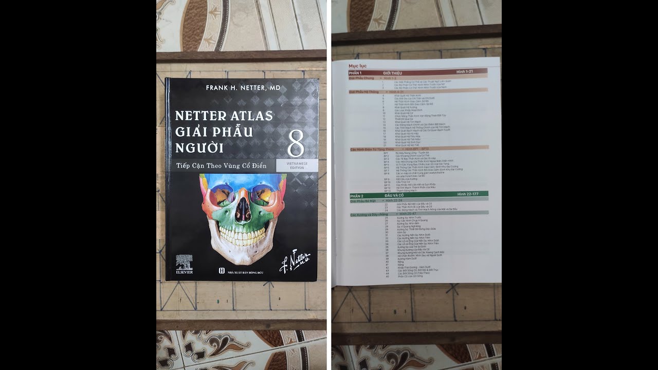 Atlas 8 Bản Tiếng Việt