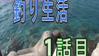 【所持金0円で即終了】釣り生活【沖縄】