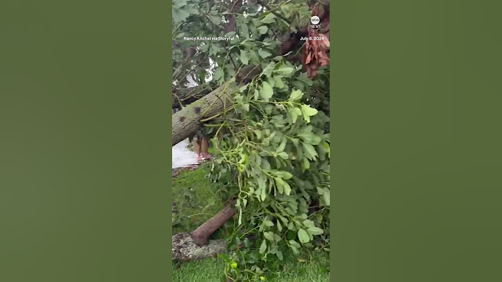 Beryl slams Texas with torrential rain and winds