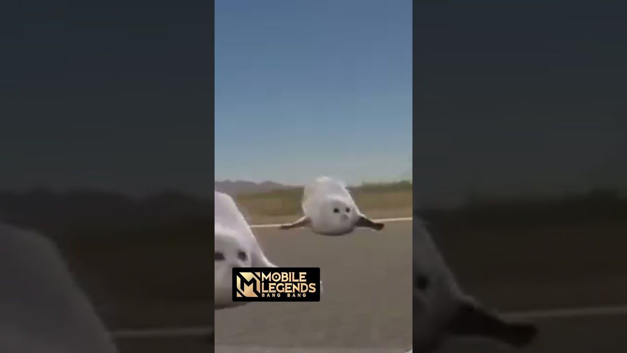 🔥 Humor divertido | Mobile Legends 🔥 