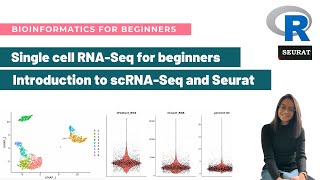 Introduction to single-cell RNA-Seq and Seurat | Bioinformatics for beginners