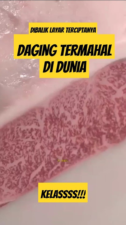 Daging Sapi Termewah💯‼️ #dagingsapi #sapiwagyu #wagyua5 #sapi #peternakan #peternakansapiindonesia