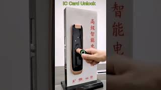 New Tuya Wifi App Smart Home Door Lock Operation Video-N8 Model