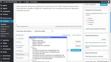 Curso Woocommerce: 6 - agregar atributos a los productos