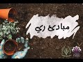شرح مبادئ ري شابتر 9 الجزء الثاني