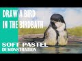 Draw a bird in the birdbath  wildlife art tutorial in pastel with rita ginsberg