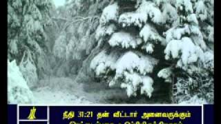 proverbs - 31  Tamil Picture Bible screenshot 5