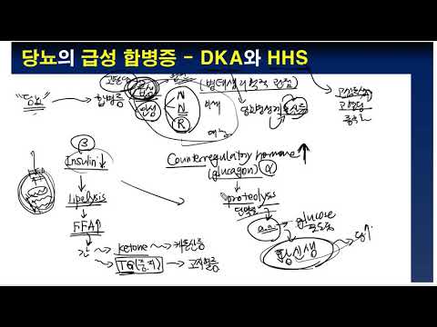 당뇨의 급성 합병증 2가지