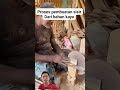 the process of making a comb from wood #viral #trending #reaction #tutorial #shorts